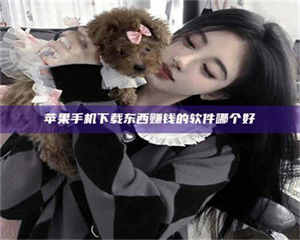 怒江苹果手机下载东西赚钱的软件哪个好 第1张